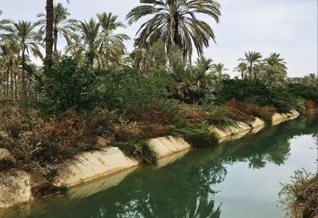 تور داحلی بوشهر و گناوه